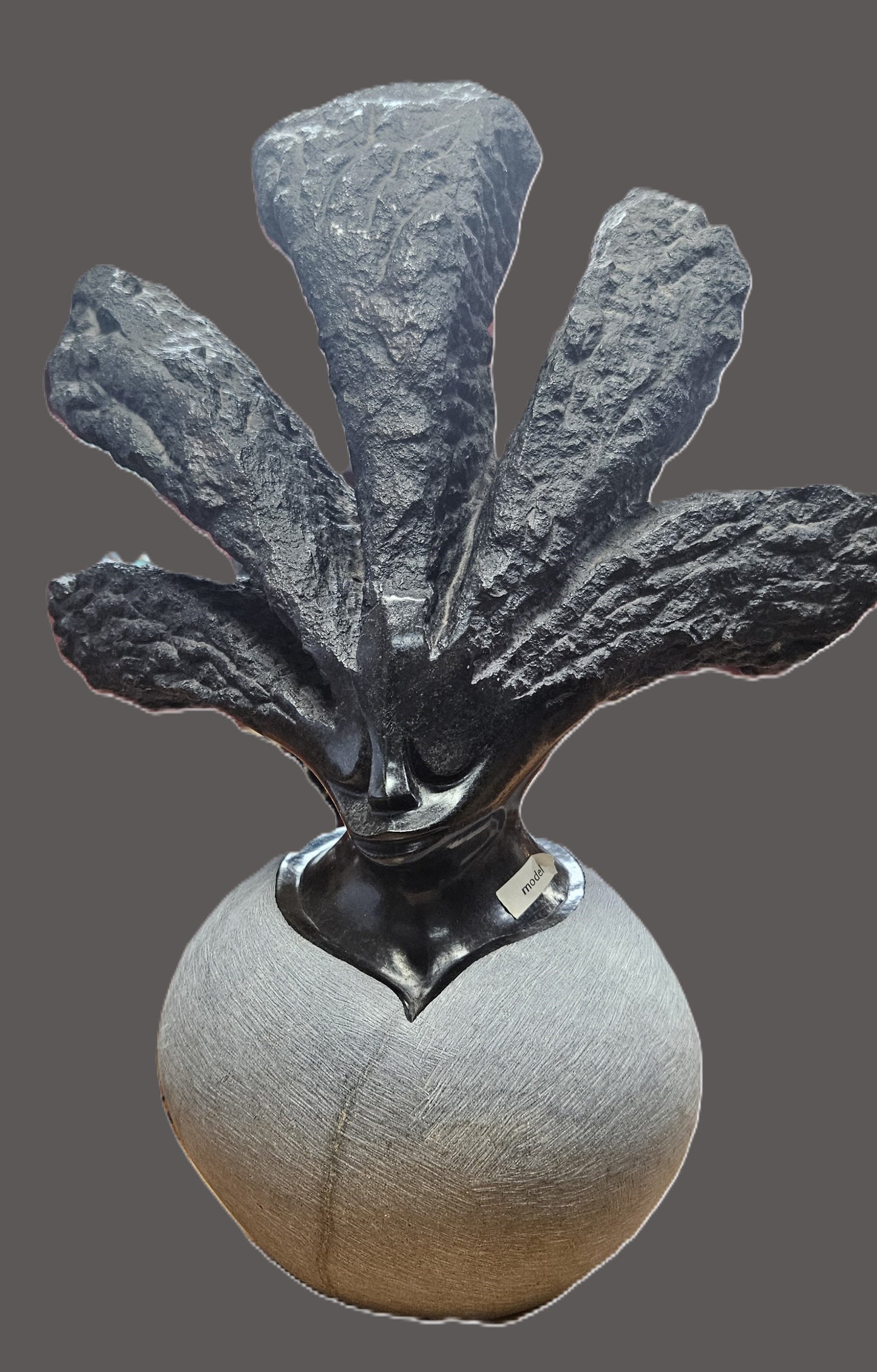 Model